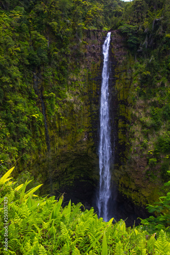 Hawaii