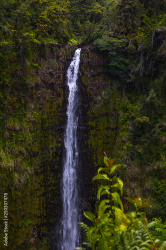 Hawaii Water Fall