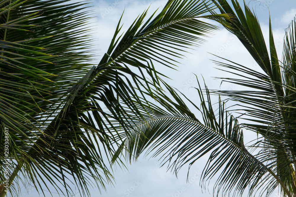 Hawaii Hawaii