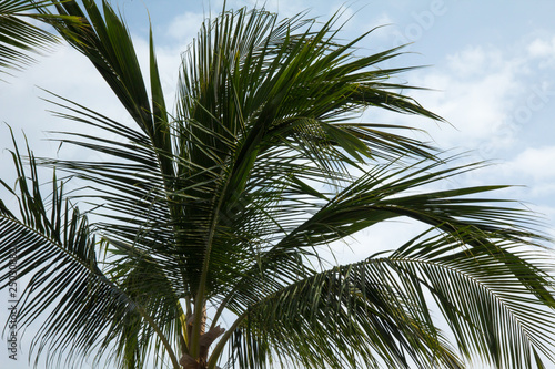 Hawaii