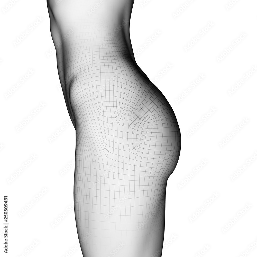 Fototapeta premium 3d rendered illustration of a female bottom