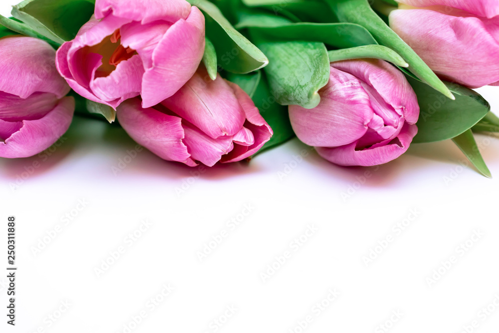 Bouquet of spring flowers, pink tulips on white background - holiday card for 8 march, Valentine day or mother's day with copy space Bouquet of spring flowers, pink tulips on white background - holiday card for 8 march, Valentine day or mother's day with copy space