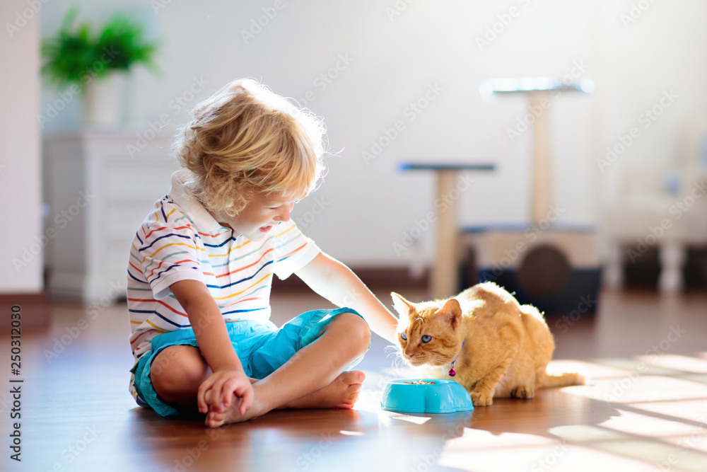 Child playing with cat at home. Kids and pets. Child playing with cat at home. Kids and pets.