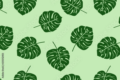 Background of monstera leaves