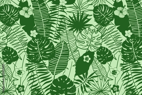Pattern of tropical plants and flowers