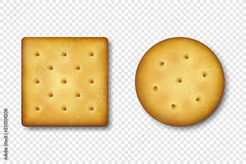Realistic Vector 3d Round and Square Delicious Salty Cookies Rustic, Cracker, Biscuit Icon Set Closeup Isolated on White Background. Design Template of Sweet Cookie, Yummy Crackers, Breakfast Snack