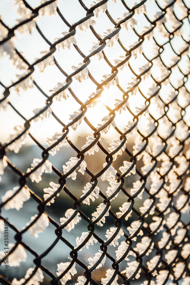 Fototapeta premium Chain link fence with barbed wire, background texture. 