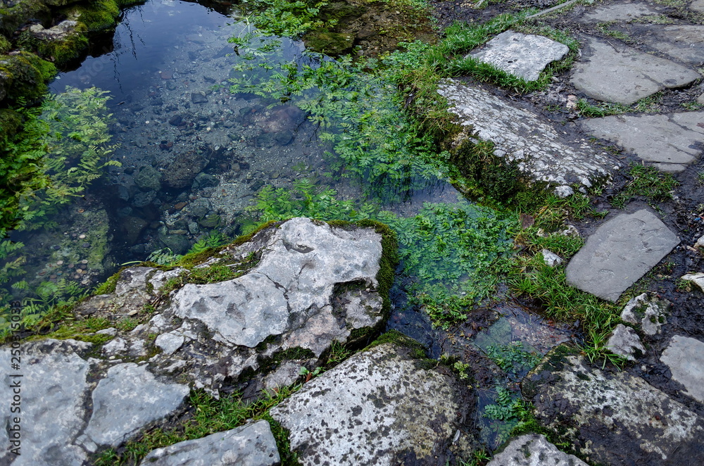 Small corner with streamlet from sacred spring source in Demir Baba Teke, cult monument honored by both Christians and Muslims in winter near Sveshtari village, Municipality Isperih, Razgrad District Small corner with streamlet from sacred spring source in Demir Baba Teke, cult monument honored by both Christians and Muslims in winter near Sveshtari village, Municipality Isperih, Razgrad District