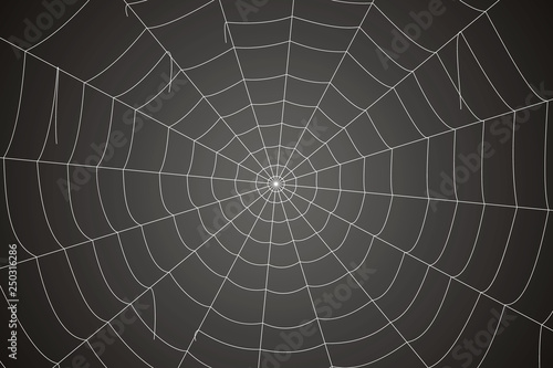Creepy spider web on a gray background