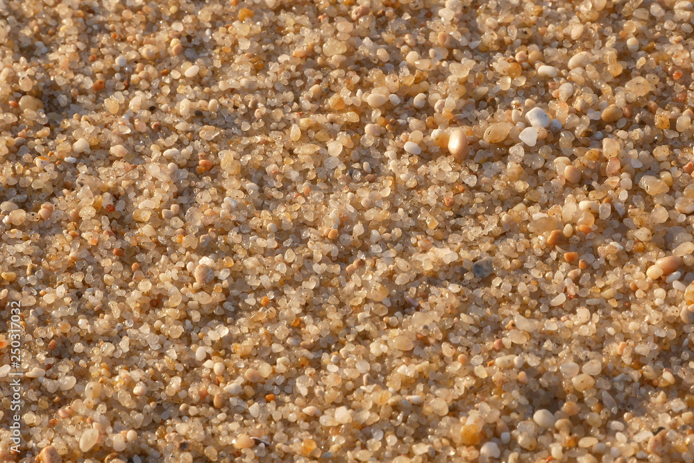 Close up Macro of grains of sand on a beach Close up Macro of grains of sand on a beach