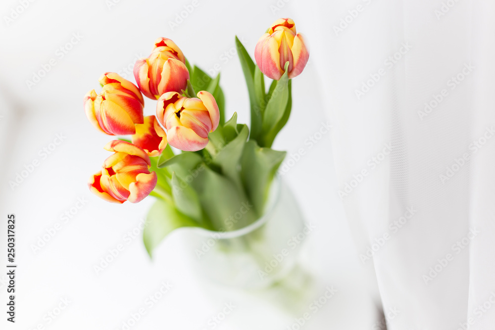 custom made wallpaper toronto digitalyoung spring flowers, orange and yellow tulips in a transparent vase on a white background, natural light