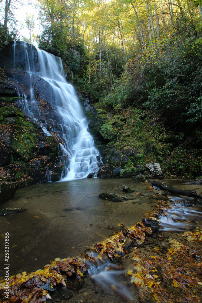 Fototapeta premium wodospad w lesie