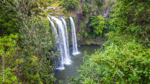 Exploring Whangarei in the North Island of New-Zealand