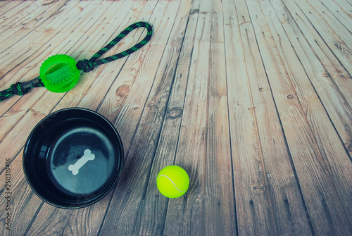 Dog bowl with food, drag-and-drop and tennis ball