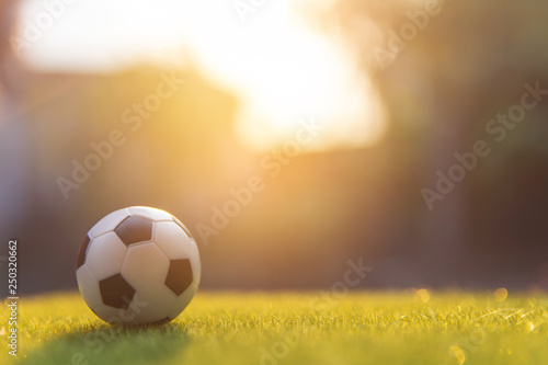 Soccer ball on grass green field with copy space