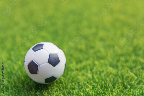 Soccer ball on grass green field with copy space © Achira22