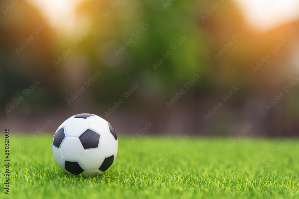 Fototapeta Piłki nożnej piłka na trawy zieleni polu z kopii przestrzenią
