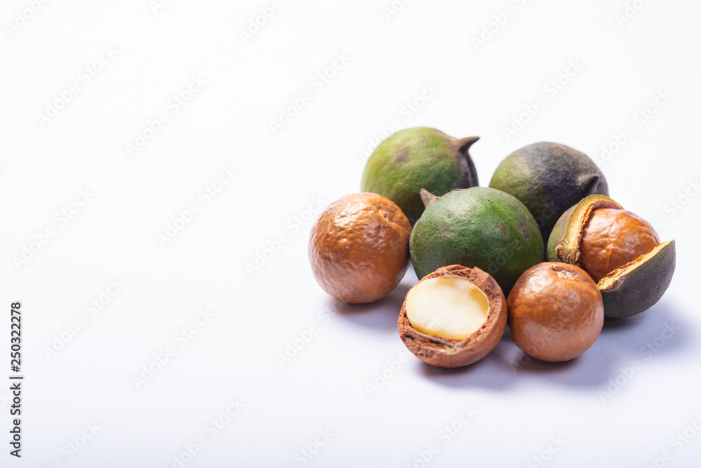 Fresh harvest of macadamia nuts, green macadamia nuts in shell and cracked nuts close up isolated Fresh harvest of macadamia nuts, green macadamia nuts in shell and cracked nuts close up isolated