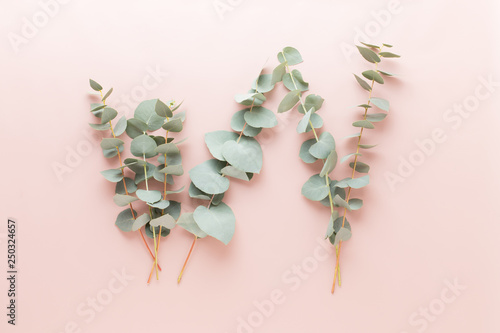 Flowers and eucaaliptus composition. Pattern made of various colorful flowers on white background. Flat lay stiil life. photo