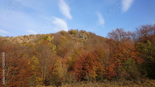 Autumn, trees