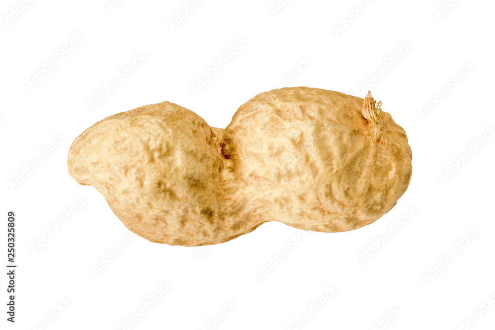 Peanuts. Whole nut isolated on white background without shadow. Peanut macro close up. Full depth of field. Peanuts. Whole nut isolated on white background without shadow. Peanut macro close up. Full depth of field.