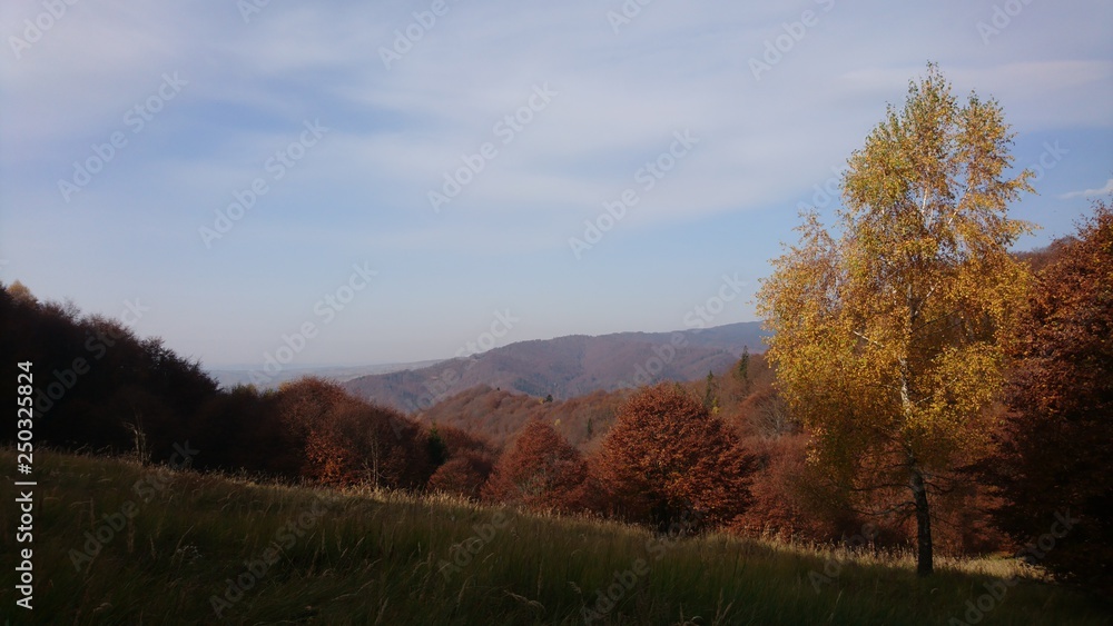 Autumn, trees, mountains