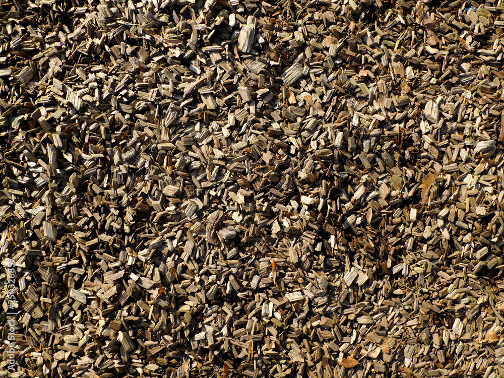 The structure of a large sawdust in a sunny day The structure of a large sawdust in a sunny day