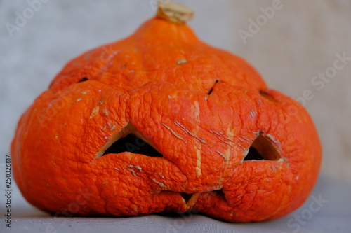 Halloween is over, old sad pumpkin