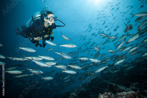 Young woman scuba diver exploring coral reef © Jag_cz