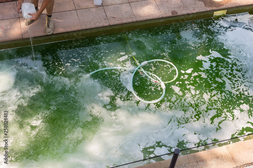 man pouring acid into green pool