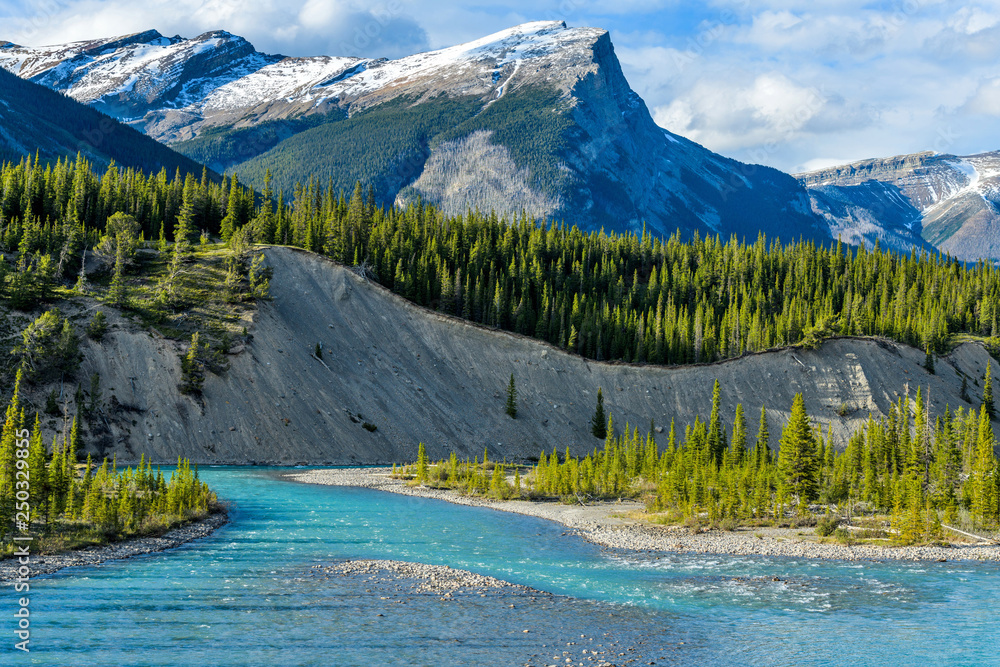Blue River - Colorful streams of Saskatchewan River calmly flowing through a steep mountain valley, Banff National Park, AB, Canada.