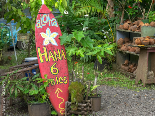 an old surfboard at a roadside stand on the road to hana photo