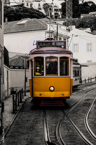 Tram of Lisbon in Portugal.