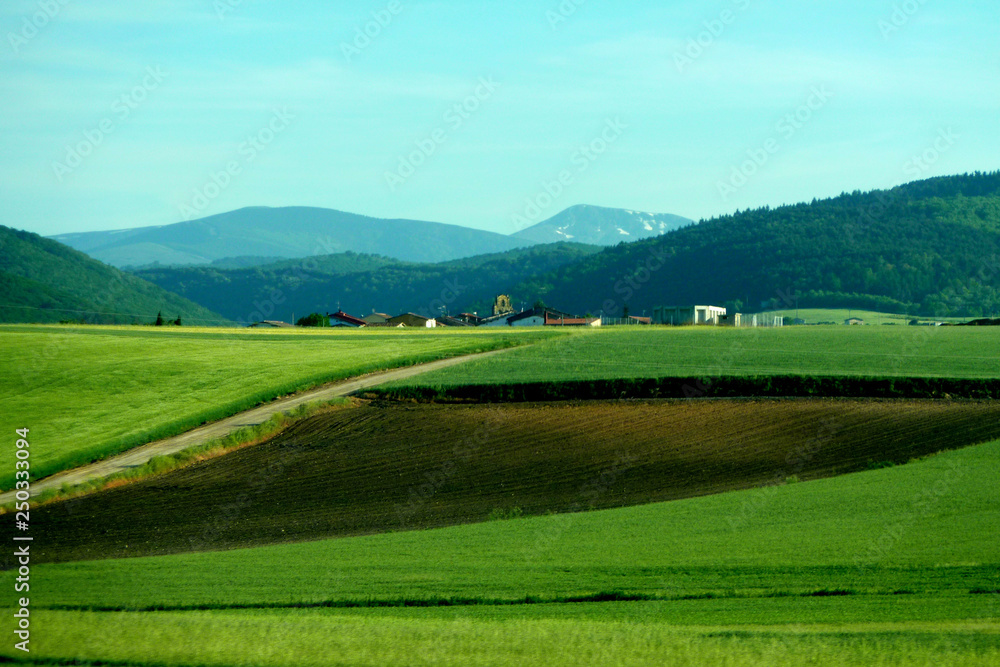 Navarra. Rural fields. Spain