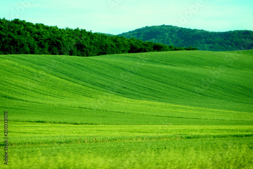 Navarra. Rural fields. Spain