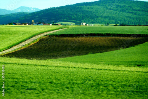 Navarra. Rural fields. Spain