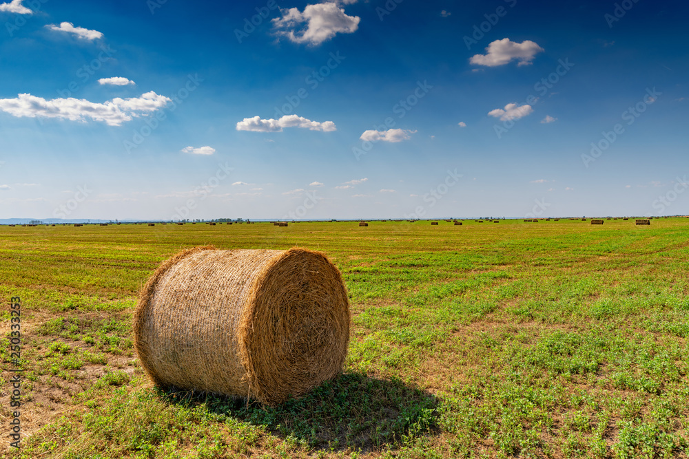 Hay bales in the field in countryside after harvest in summer