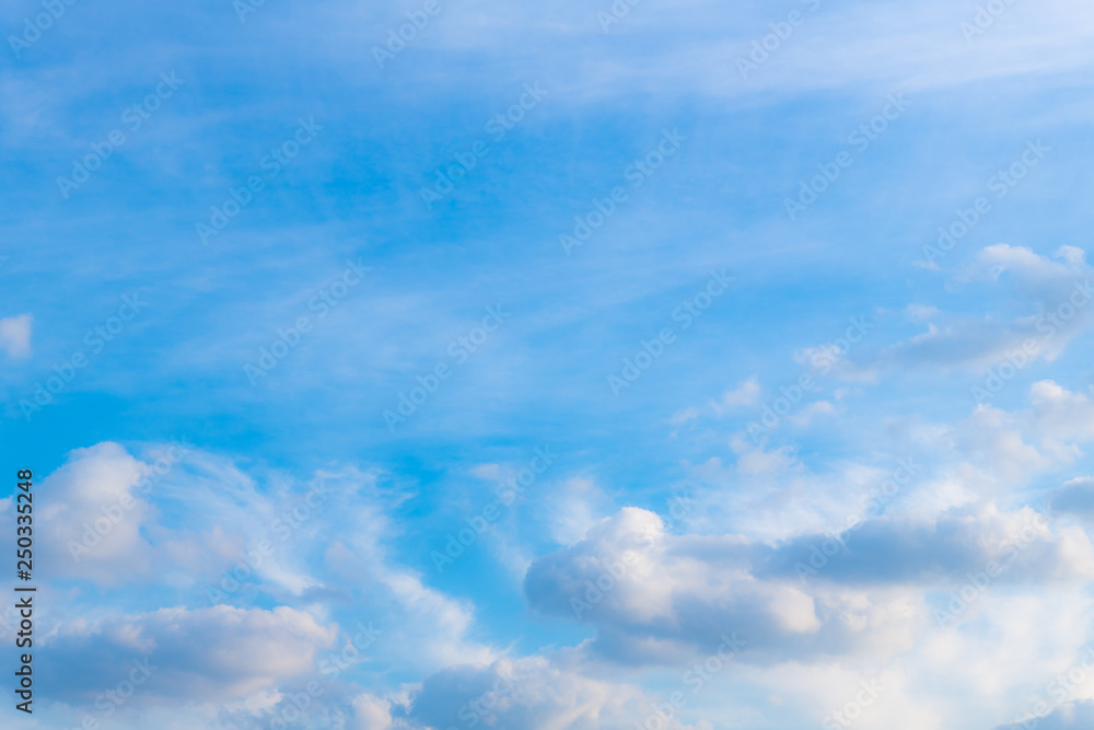 冬の青空 冬の青空
