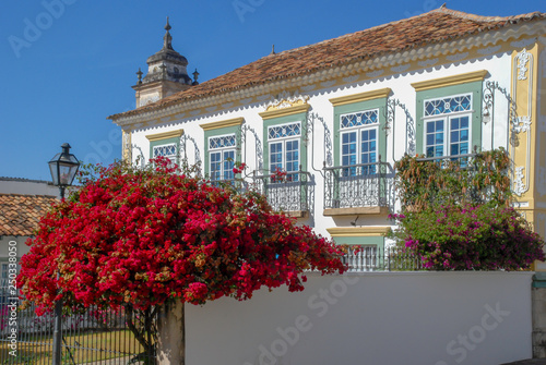 Bougainville florida em frente a casarão histórico de São João del Rey, Minas Gerais, Brasil photo