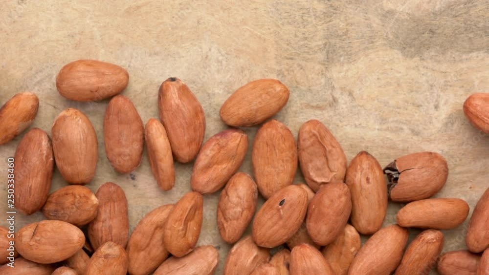Raw cacao beans on textured bark paper, overhead slider pan Raw cacao beans on textured bark paper, overhead slider pan