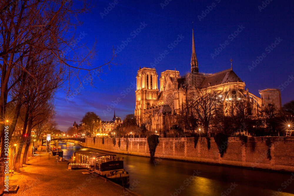 Fototapeta premium Blue nignt in Paris, sunset over The Notre Dame Cathedral, France