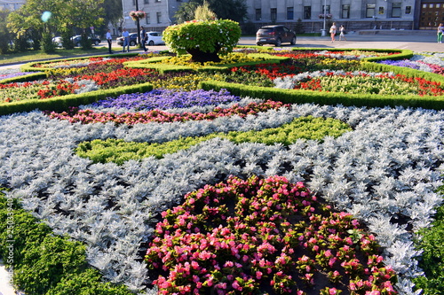 Jardim em Irkutsk photo