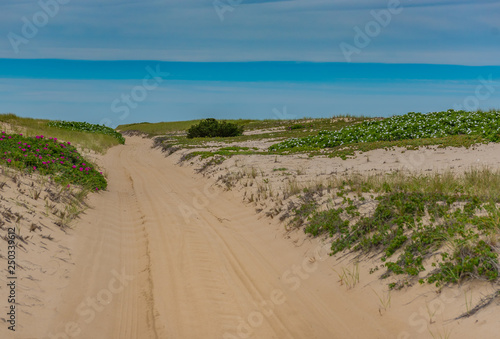 Oversand road through the dunes of Chappaquiddick, Martha's Vineyard