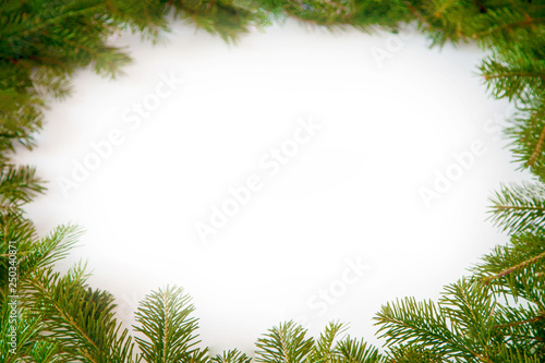 Christmas circle green framework isolated on white background. Green Christmas fir tree branches with copy space