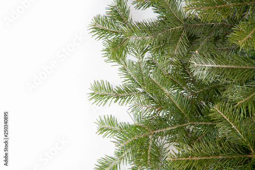 Wide Christmas border arranged with fresh fir branches isolated on white shaped as an arch