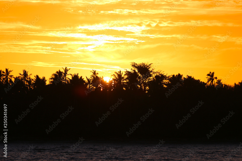 Sun and sunset lights with palm tree silhouette in the Yasawa Islands, Fiji