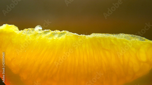 Orange or Juicy lemon slices. Close up. Natural Healthy food and vitamin-rich fruits. Visible slices texture. With a nice gradient.