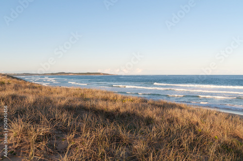Coastal landscape with dry grass and mild waves