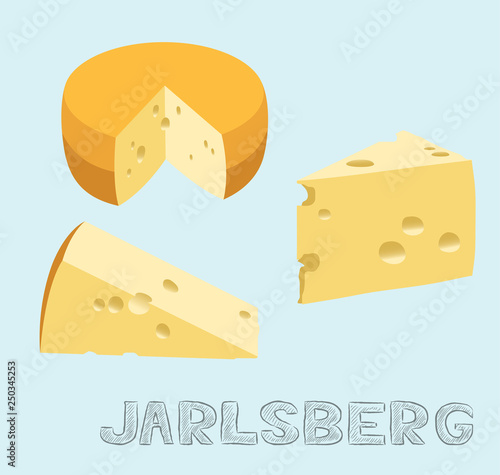 Food Cheese Type Jarlsberg Vector Illustration