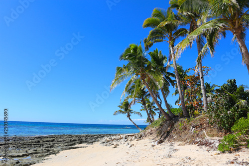 View of Kuata Island palm beach in the Yasawa archipelago  Fiji